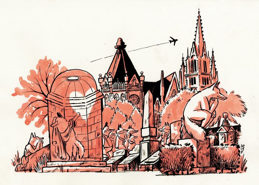 Foxes among the monuments of a cemetery, a church spire behind
