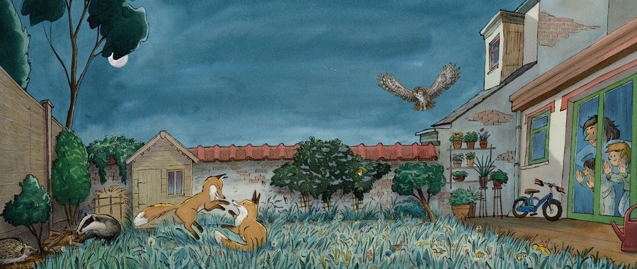 Spread: the garden at night with foxes, a badger and an owl