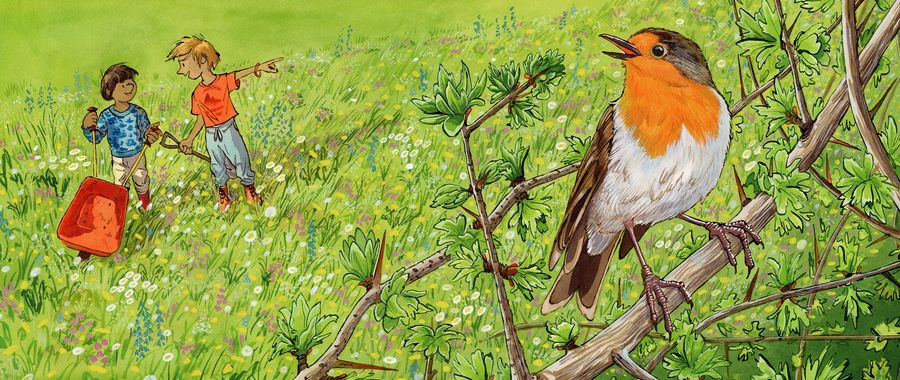 Spread: a robin sings as the children run through the meadow