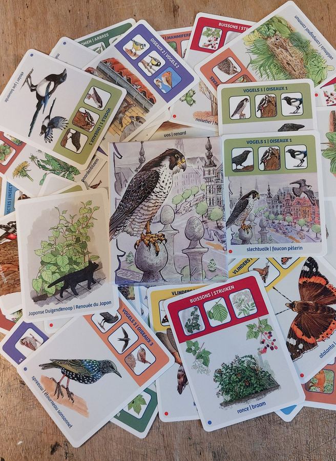 Photo: the cards spread out on a wooden table