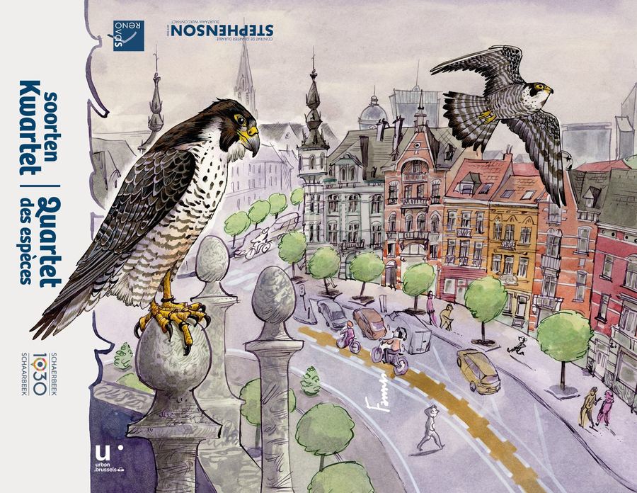 Box of the Soortenkwartet card game: a peregrine falcon above a Schaerbeek street