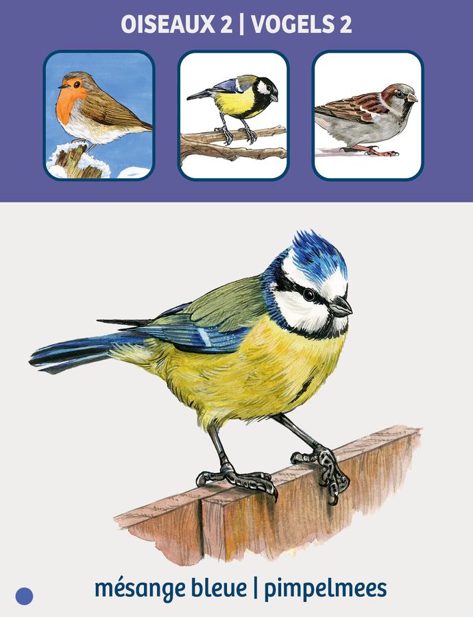 Card: the blue tit