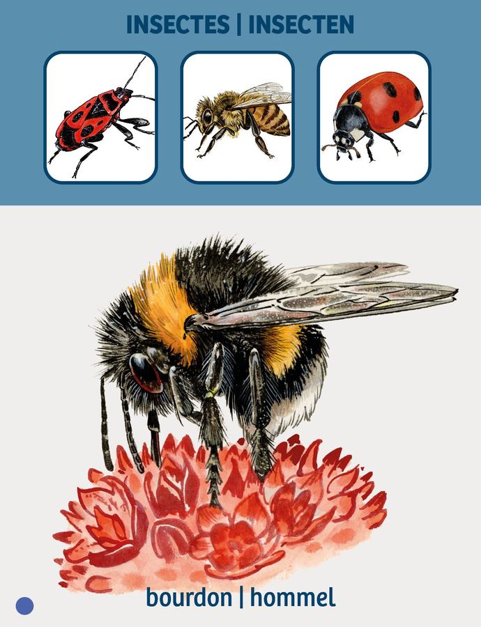 Card: the bumblebee