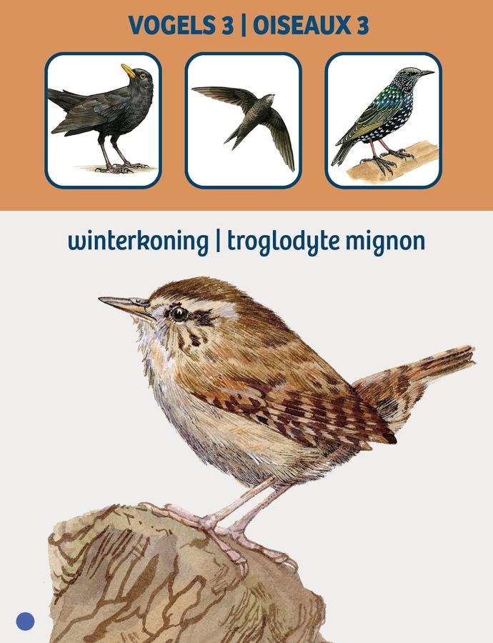 Card: the wren
