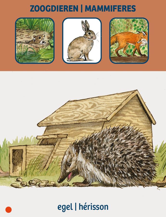 Card: the hedgehog