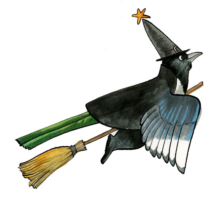 A magpie in a witch’s hat flying on a broom
