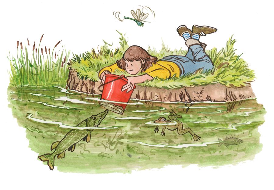 A child with a bucket at the edge of a pond, a pike and a frog below