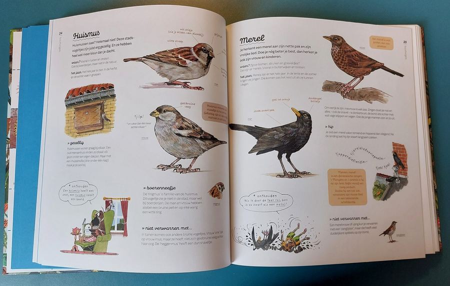 Photo of Soortenschat open at the house sparrow and the blackbird