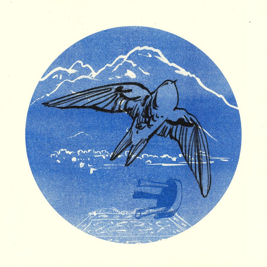 A swallow flies over mountains in a blue circle, drawing for the show